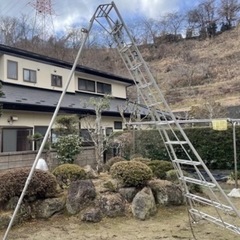 【状態良】　園芸脚立　12尺の画像