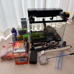 水槽 セット　　450の画像