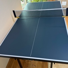 家庭用
卓球台 1,800mmx900mmの画像