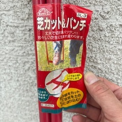 芝カット　根切り　芝生　スパイクの画像
