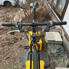 アメリカンイーグル　ヴェイル　700cの画像