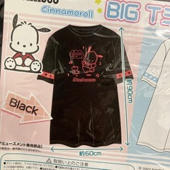 ポチャッコ　BIGTシャツの画像