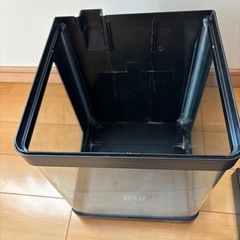 水槽　自由研究　夏休みの画像