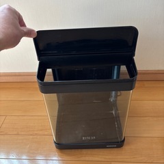 水槽　自由研究　夏休みの画像