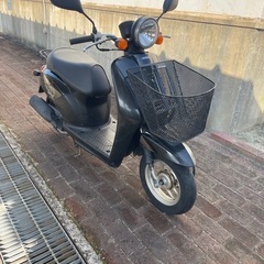 ホンダトゥデイjf61の画像
