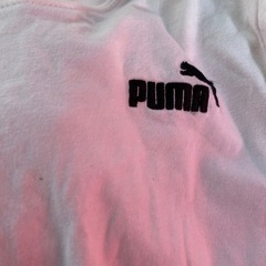 Tシャツ トレーナー130 140の画像