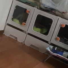 小動物ゲージの画像