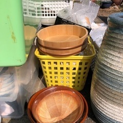 お皿食器その他の画像