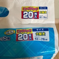 新品　犬用おむつ　マナーベルト　セット　大型犬　中型犬の画像