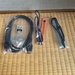 スイッチ2 ポケモンza付きの画像