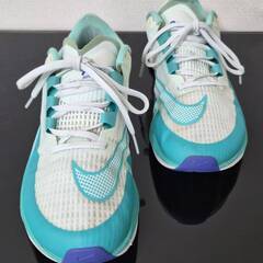 NIKE ナイキ ランニングシューズ 27.0㎝の画像