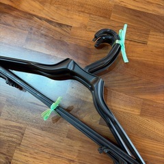 ハンガー10本セットの画像