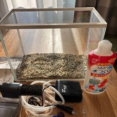 メダカ 水槽セット 一式 フィルター エアポンプ付きの画像