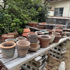 植木鉢・盆栽鉢　陶器　大きさ色々の画像