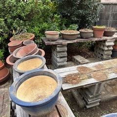 植木鉢・盆栽鉢　陶器　大きさ色々の画像