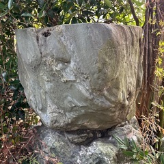 手水鉢　いしがめ　石　日本庭園　　庭　店舗などにの画像