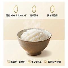 令和7年度産 う米とこ獲り 10kg 精米 国内産100% 米 高リピートの画像