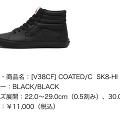 VANS 防水シューズの画像