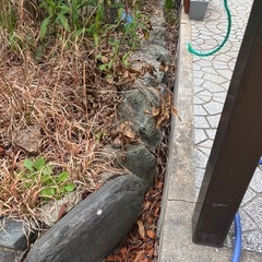 石　日本庭園　ブルーの石　庭　飾り　店舗などにの画像