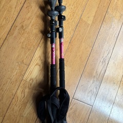 トレッキング用ステッキの画像