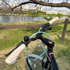 クロスバイク 
pantherの画像