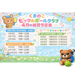 今！話題沸騰のスポーツ！ピックルボールを楽しもう！メンバー募集