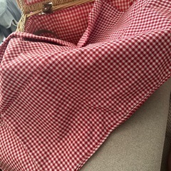 未使用/無料/ピクニックBOX/食器付きの画像