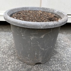 植木鉢⑤の画像