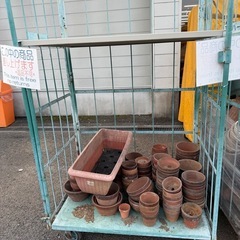 植木鉢　　無料ありの画像