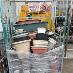 植木鉢　　無料ありの画像