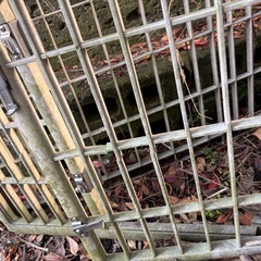 ボロボロの外用のサークルの画像