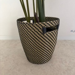 IKEA 人工観葉植物  鉢(カゴ)付きの画像