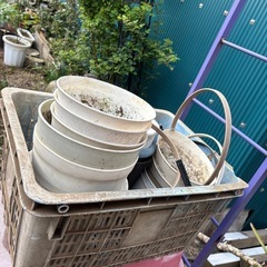 植木鉢　　引き取り決まりました。の画像