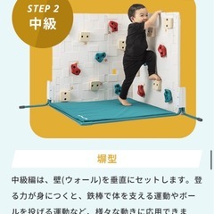 ニンジャボルタリングの画像