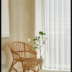 【新品】プレーンシングルパネルシアカーテンの画像