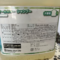 カーシャンプーの画像