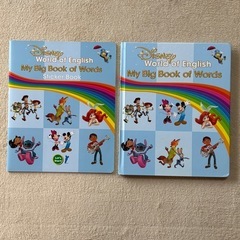 DWE ほぼフルセット 棚付き すぐ使えるの画像