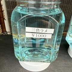 メダカ無人販売　Openの画像