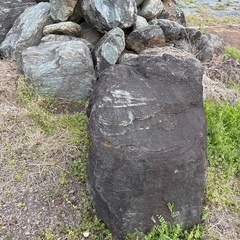 巨大庭石 緑系 引き取り限定 重機・ユニック必要の画像