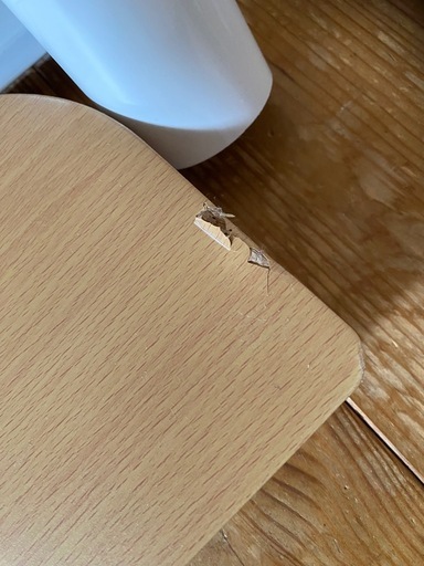 階段付ロフトベッド?️
