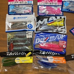 ワーム類一式の画像