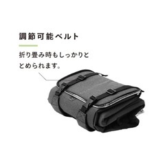 クーラーバック　リュック型の画像