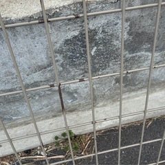 メッシュフェンス  外構 エクステリア の画像