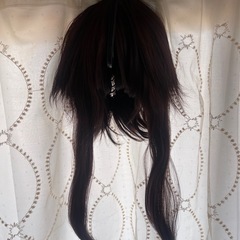 コスプレ桂の画像