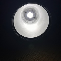 ニトリ LEDクリップライト（点灯確認済 / 昼白色 / 350Lm）の画像