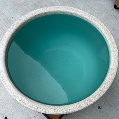 ●特大！信楽焼 水連鉢 (メダカ鉢) 幅61cm ヒビあり 水漏れ確認済み　「白カスミ」内側が美しい青色！の画像
