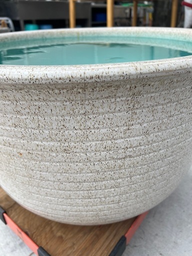 信楽焼 メダカ鉢 おしゃれ 水鉢 睡蓮鉢 陶器 めだか 鉢 金魚鉢 青 ●特大！信楽焼 水連鉢 (メダカ鉢) 幅61cm ヒビあり 水漏れ確認済み　「白カスミ」内側が美しい青色！