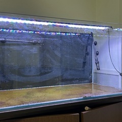90㎝ガラス水槽の画像