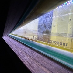 90㎝ガラス水槽の画像