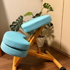 プロポーションチェア+予備カバー2万円相当の画像